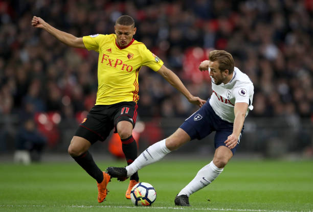 不仅更加健 不仅更加健