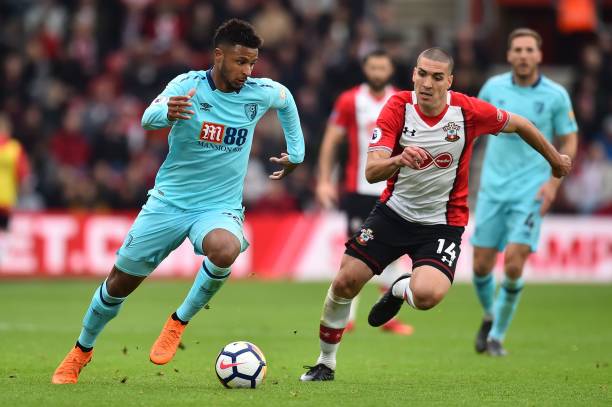 奥斯梅恩放 奥斯梅恩放